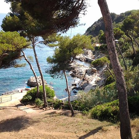 Apartamento Sol- Fanals Apartment Lloret de Mar Luaran gambar